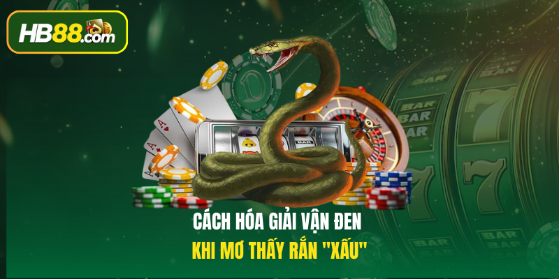 Cách hóa giải vận đen khi Mơ thấy rắn "xấu"