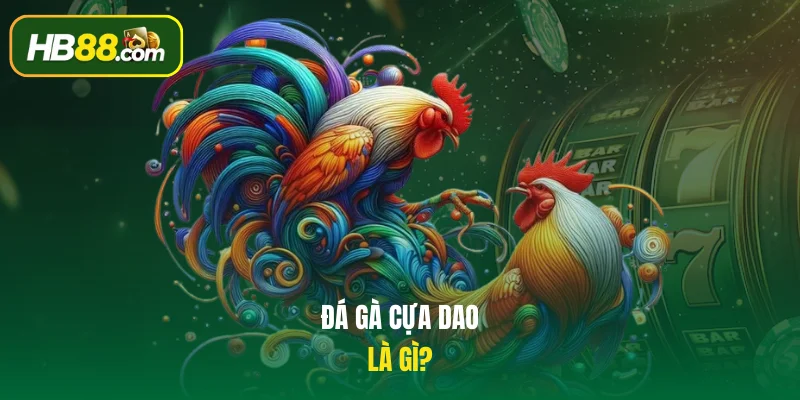 Đá gà cựa dao là gì?
