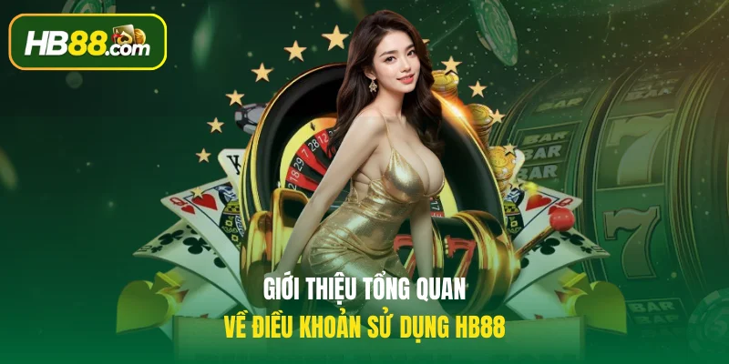 Giới thiệu tổng quan về điều khoản sử dụng HB88