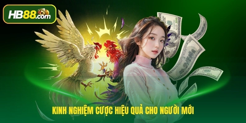 Kinh nghiệm cược hiệu quả cho người mới