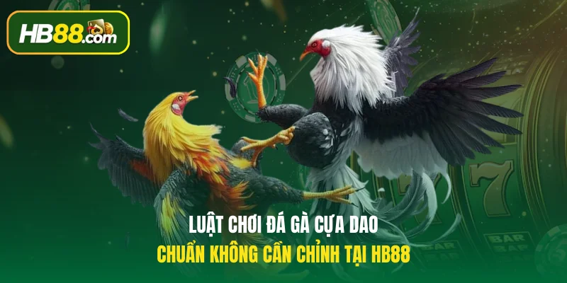 Luật chơi đá gà cựa dao chuẩn không cần chỉnh tại HB88