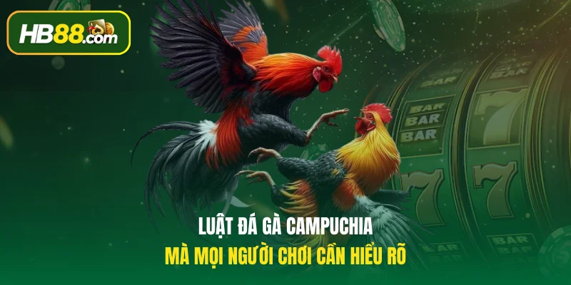 Luật đá gà Campuchia mà mọi người chơi cần hiểu rõ