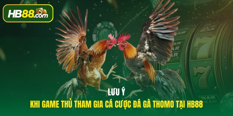 Lưu ý khi game thủ tham gia cá cược đá gà Thomo tại HB88