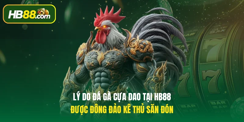 Lý do đá gà cựa dao tại HB88 được đông đảo kê thủ săn đón