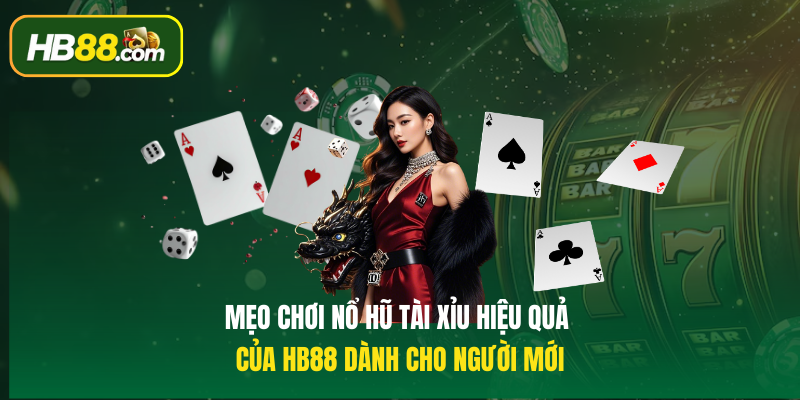 Mẹo chơi Nổ hũ tài xỉu hiệu quả của HB88 dành cho người mới