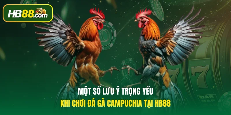 Một số lưu ý trọng yếu khi chơi đá gà Campuchia tại HB88