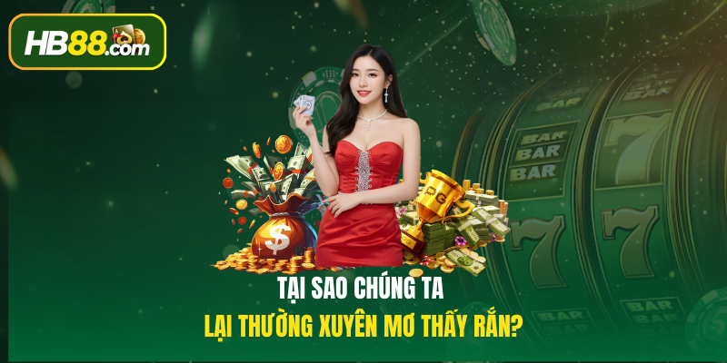 Tại sao chúng ta lại thường xuyên Mơ thấy rắn?