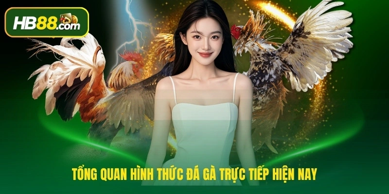 Tổng quan hình thức đá gà trực tiếp hiện nay